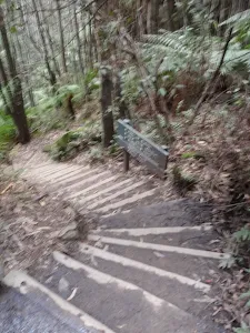Stairs winding down to Pool of Siloam