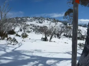 Walking toward Mt Piper