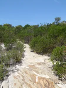 White sandy track