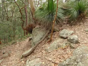 Winding around the rocky outcrop
