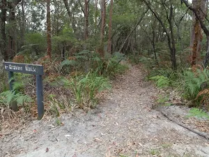 Intersection of Graves Walk and Maidens Brush management trail