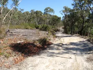 Clearing next to The Oaks Fire Trail