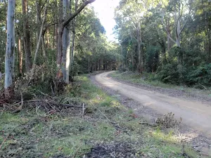 winding around to the lookouts