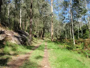 Lower end of Simpson track
