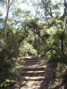 Near Gorden Falls Reserve