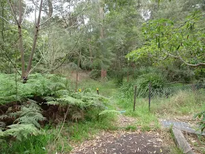 Track down from Blaxland Library