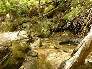 Creek crossing north of Berowra Creek campsite