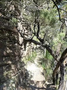 Track on the western side of Solitary