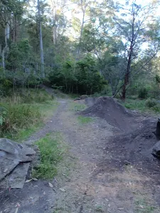 Bike jumps beside track