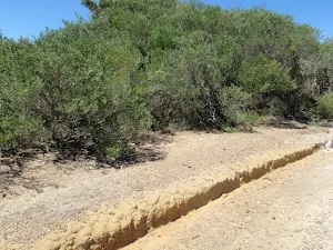 Upper end of Grass Tree Track