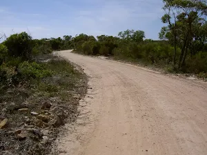 The Basin service trail