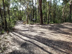 Along Stringybark ridge