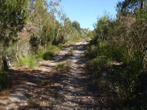 Track up to the summit and Bournda Trig