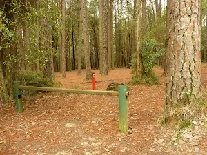 Locked gate at the Pines Picnic Area in the Watagans