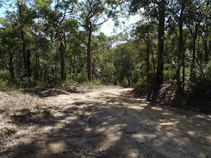 The Oaks Fire Trail