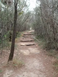 Manly Scenic Walkway