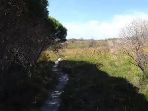 Some shade North of Hegartys bay