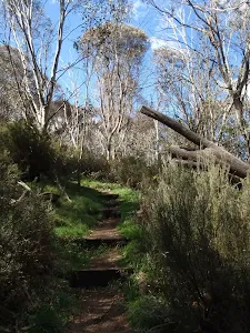 winding up the steps