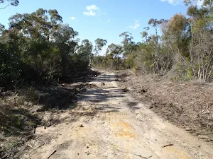 The Oaks Fire Trail