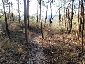 Red Gum walk