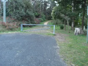 Management trail at the end of Gordon Rd