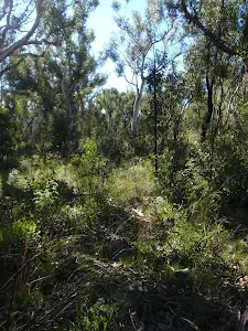 Vegetation to Thor Head