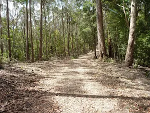 Kangaroo Point Road
