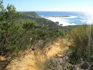 Timber Beach Lookout