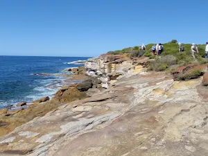 Bundeena to Jibbon Head Circuit