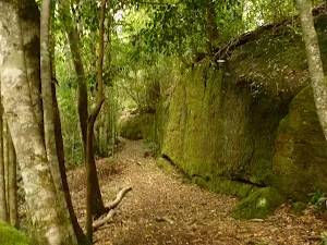 Moss Wall Walk
