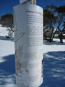 Snow loving gums sign