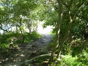 Path leading through the back of Strickland House
