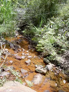 Campbells Creek
