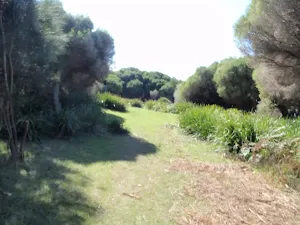 Grassy trail