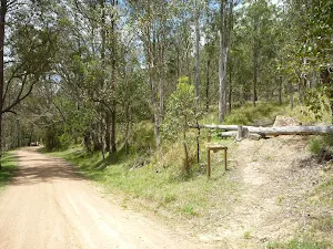 GNW track meets Watagan Creek Road