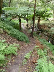 Roseville to Chatswood Station via Lane Cove River