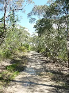 Perimeter Trail near Terrey Hills