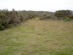 Grassy Clearing north of Bombi Headland