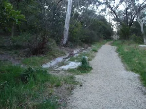 Leura Dirt Trail