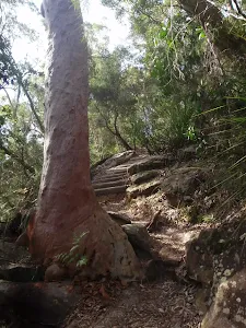 You can go around!