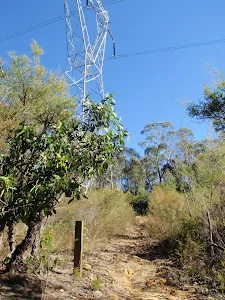 track winding below powerlines