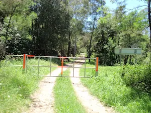 Gate on the Old Ten Mile Hollow Rd