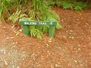 Walking track sign in Pines campground 