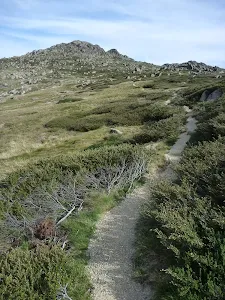 Kangaroo Ridge looking up to Mt Stilwell
