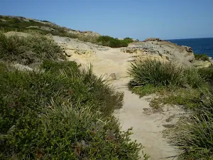 Sandy coastal track