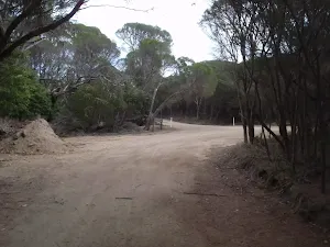 Service trail to Bournda Lagoon car park