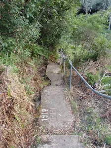 Steps above Lyrebird Dell