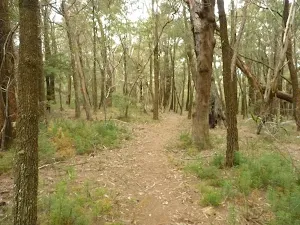 Walking south east of Corowal Plateau