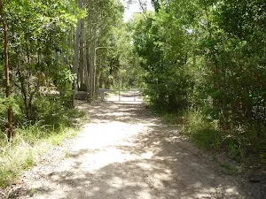 Trail near Pinney's Creek and Pinney's Beach