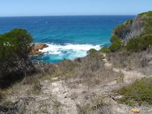 View of coast from Kangarutha Track
